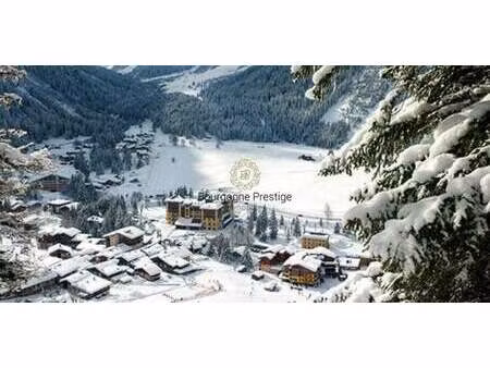 terrain pralognan-la-vanoise (73)