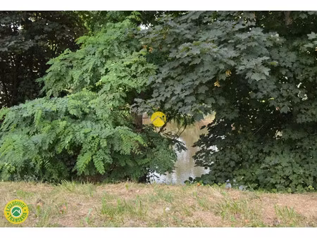 vente terrain à lunery (18400)  6 000 €