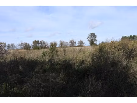 vente terrain 8360 m² à sainte-catherine-de-fierbois (37800)  86 400 €