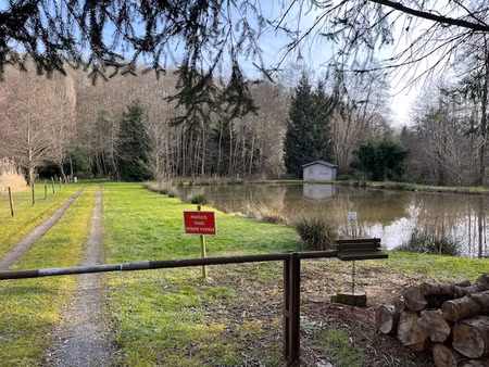 terrain avec etang et chalet
