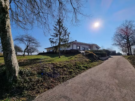 vente villa 10 pièces  320.00m²  neufchâteau