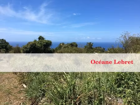 vente terrain 1482 m² à vieux habitants (97119)  149 000 €