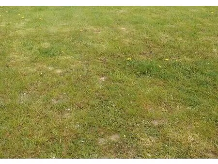 vente terrain 600 m² crèvecœur-le-grand (60360)