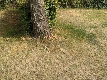 parcelle emplacement