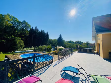 a 20 min de belfort:magnifique villa récente avec 24 ares de