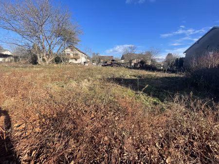 terrain borné constructible de 1011 m2