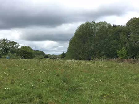 vente terrain 1412 m² lagraulière (19700)