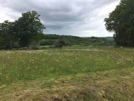 vente terrain 1429 m² lagraulière (19700)