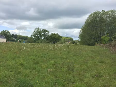 vente terrain 1566 m² lagraulière (19700)