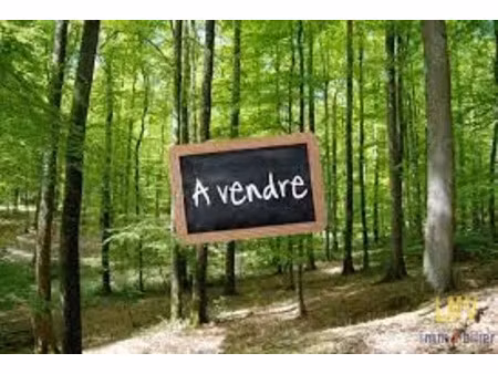 vente terrain 111822 m² à saint-félix-de-foncaude (33540)  74 200 €