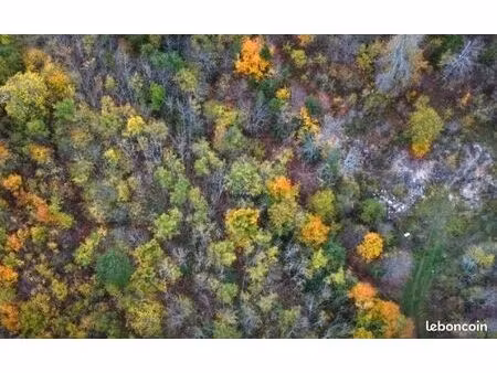 location terrain chasse