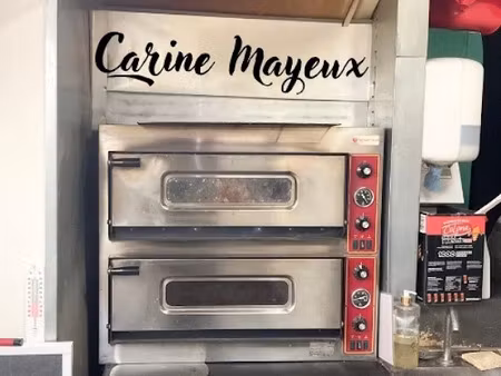 vente locaux professionnels 100 m² à fronton (31620)  59 000 €