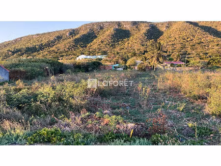 terrain la désirade à vendre