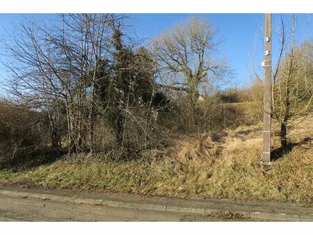 vente terrain 3004 m² pierrepont (54620)