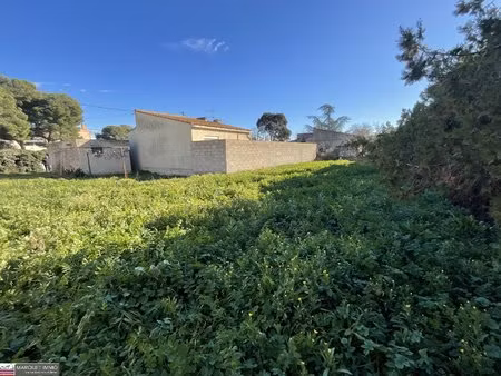 terrain constructible