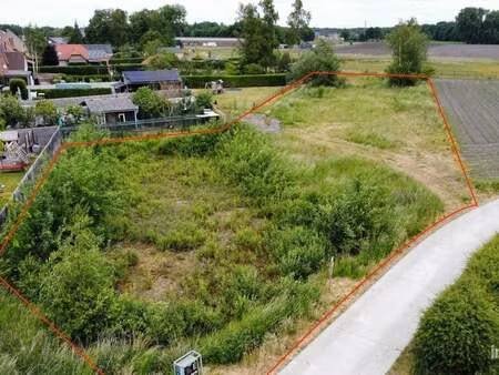 terrain à vendre à neerpelt € 289.000 (l2mtg) - immosign + bv | zimmo