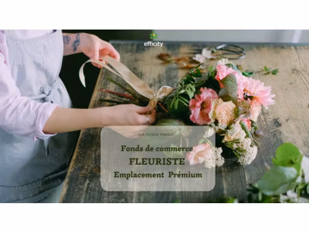 fonds de commerce - 49 m²