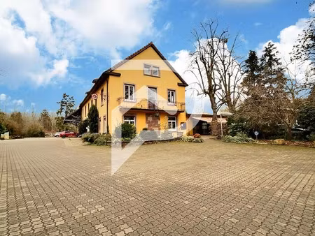 vente boutique 19 pièces