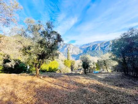 terrain constructible