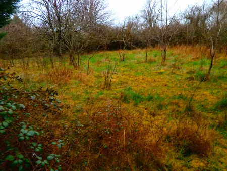 terrain a batir 3000 m2 pour usage professionel