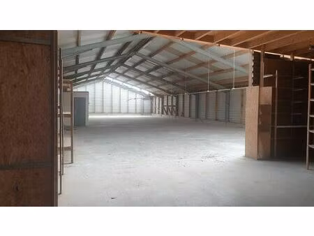 vente local d'activités plouenan 980 m²