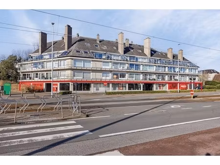 commercieel te huur in koksijde