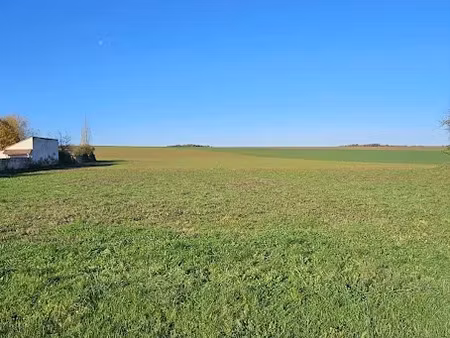 vente terrain 1525 m² à sens (89100)  34 000 €