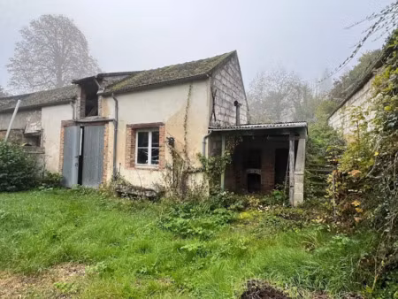 vente locaux professionnels à pont-sur-yonne (89140)  54 500 €