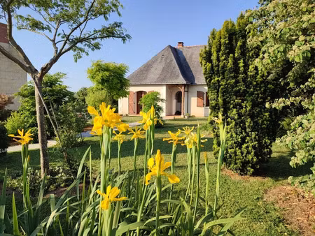 location meublée chambre 1 pièce 24 m² à montreuil-bellay (49260)  350 €