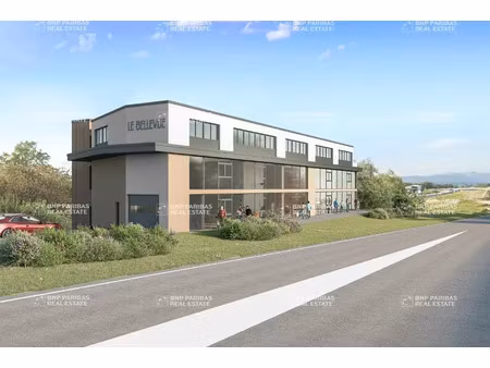 vente local d'activités fillière 74370