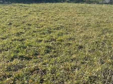 vente terrain 939 m² beaupuy (47200)