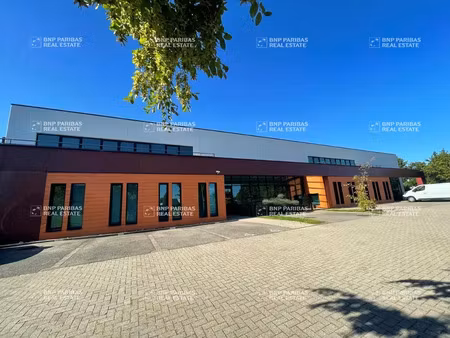 location bureau schiltigheim 67300