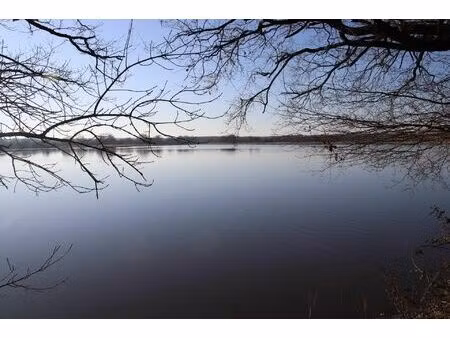 vente terrain 375945 m² le blanc (36300)