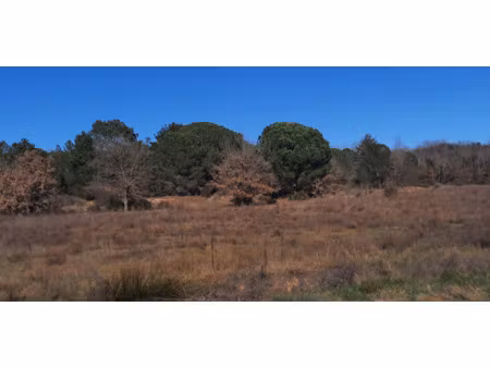 vente terrain 19718m2 saint-jean-pla-de-corts 66490 - 109000 € - surface privée