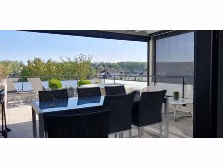 appartement avec terrasse schlierbach (68)