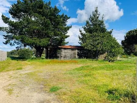 vente terrain à notre-dame-de-riez (85270) : à vendre / 694m² notre-dame-de-riez