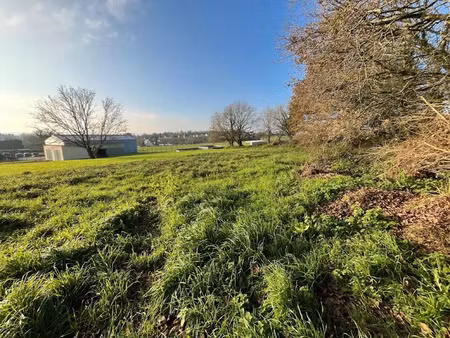 vente terrain 2010 m² à landeleau (29530)  23 800 €