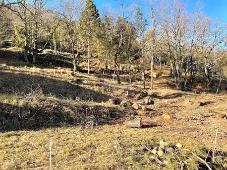 vente terrain 1075 m² à salavas (07150)  80 000 €