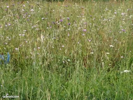 terrain 916 m² bonrepos sur aussonnelle