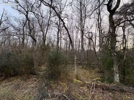 terrain 16920 m² souesmes