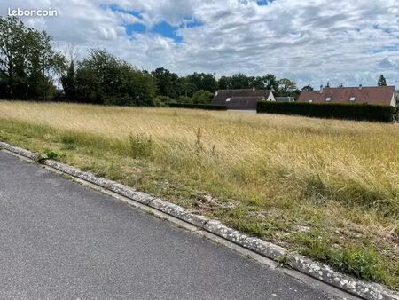 terrain constructible