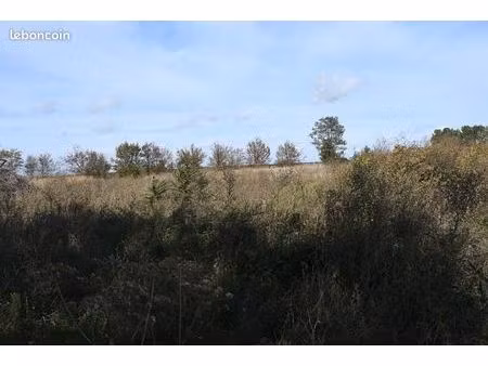 terrain 8 360 m² sainte catherine de fierbois