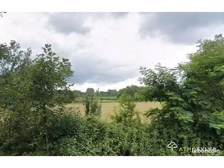terrain boisé