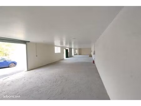 local d'activité 150 m²