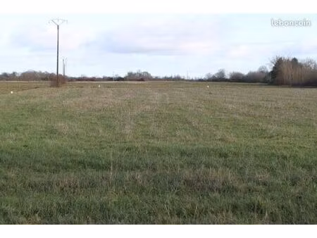 terrain 2 919 m² pleumartin