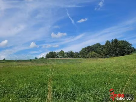 terrain 1600 m² hagenthal-le-bas