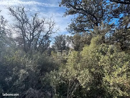 terrain 47000 m² mazan