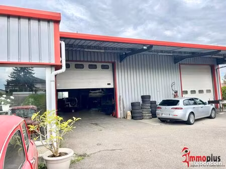 local 360 m² waltenheim