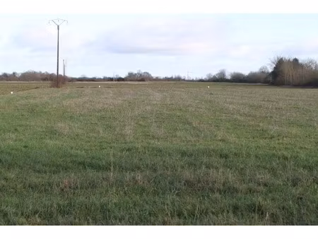 dpt vienne (86)  à vendre pleumartin terrain