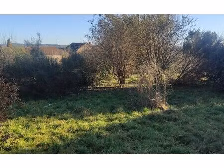 terrain le palais-sur-vienne m² t- à vendre  59 000 €